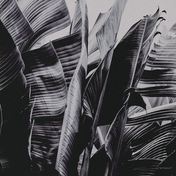 Silk Scarf - Garden Gangsta
